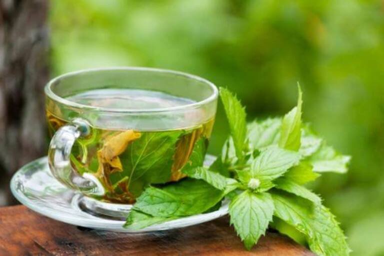 La infusión milenaria que brinda bienestar a la salud y ofrece beneficios incontables.