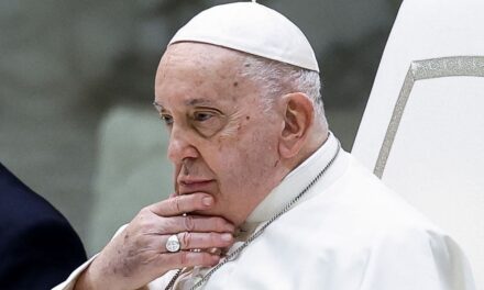 La llamada a la acción climática del papa Francisco |  Clima y Medio Ambiente