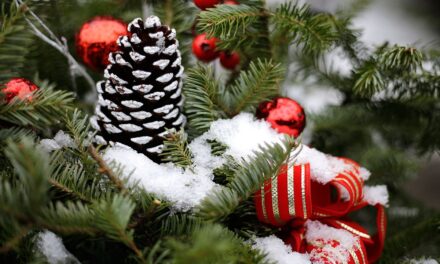 La mayor parte de EE.UU. tendrá que soñar con una Navidad blanca