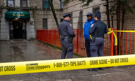 La muerte de gemelos de 5 años en un apartamento del Bronx sigue siendo un misterio
