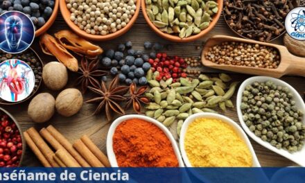 La potente especia que reduce la glucosa alta y mejora tu salud cardiovascular, según la ciencia – Enséñame de Ciencia
