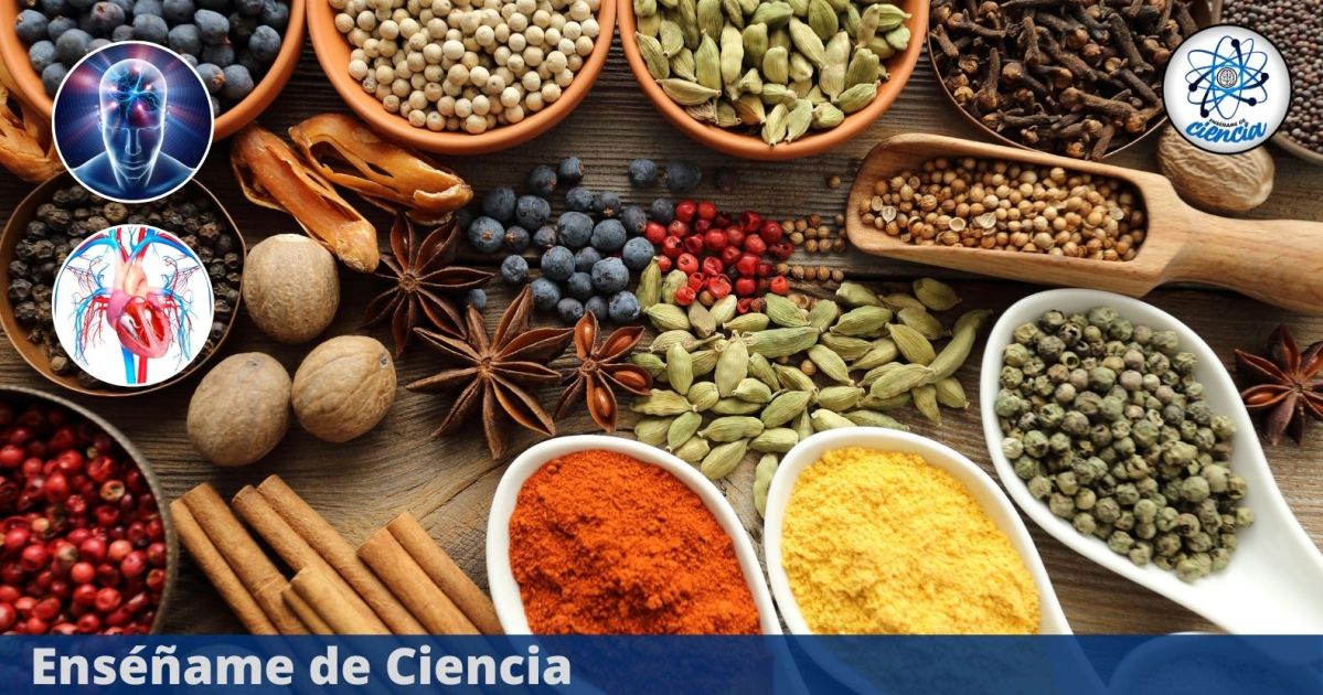 La potente especia que reduce la glucosa alta y mejora tu salud cardiovascular, según la ciencia – Enséñame de Ciencia