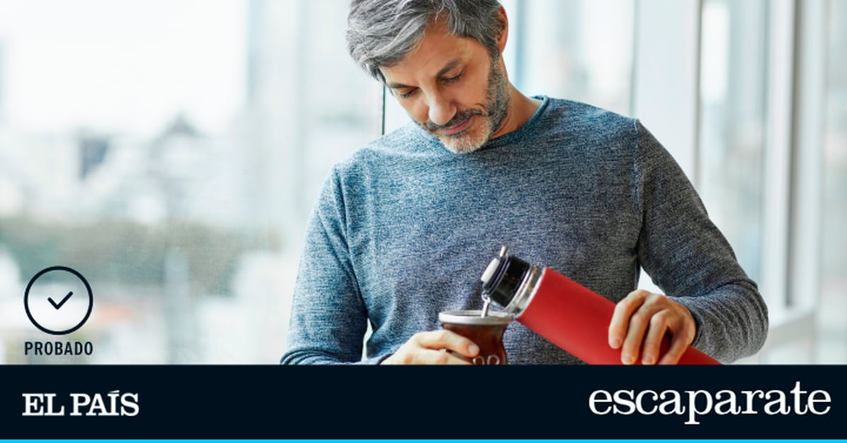 Las mejores botellas para hacer infusiones |  Comparativas