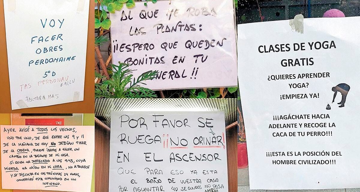Las peleas vecinales más sonadas de 2023: “Necesitamos descansar y no escuchar prácticas sexuales a las cuatro de la mañana” |  Negocios