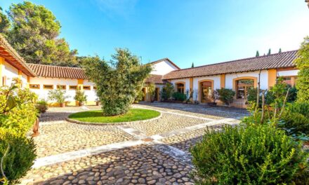 Las tres casas de la semana: finca agrícola y de caza de 822 hectáreas por 12 millones |  Negocios