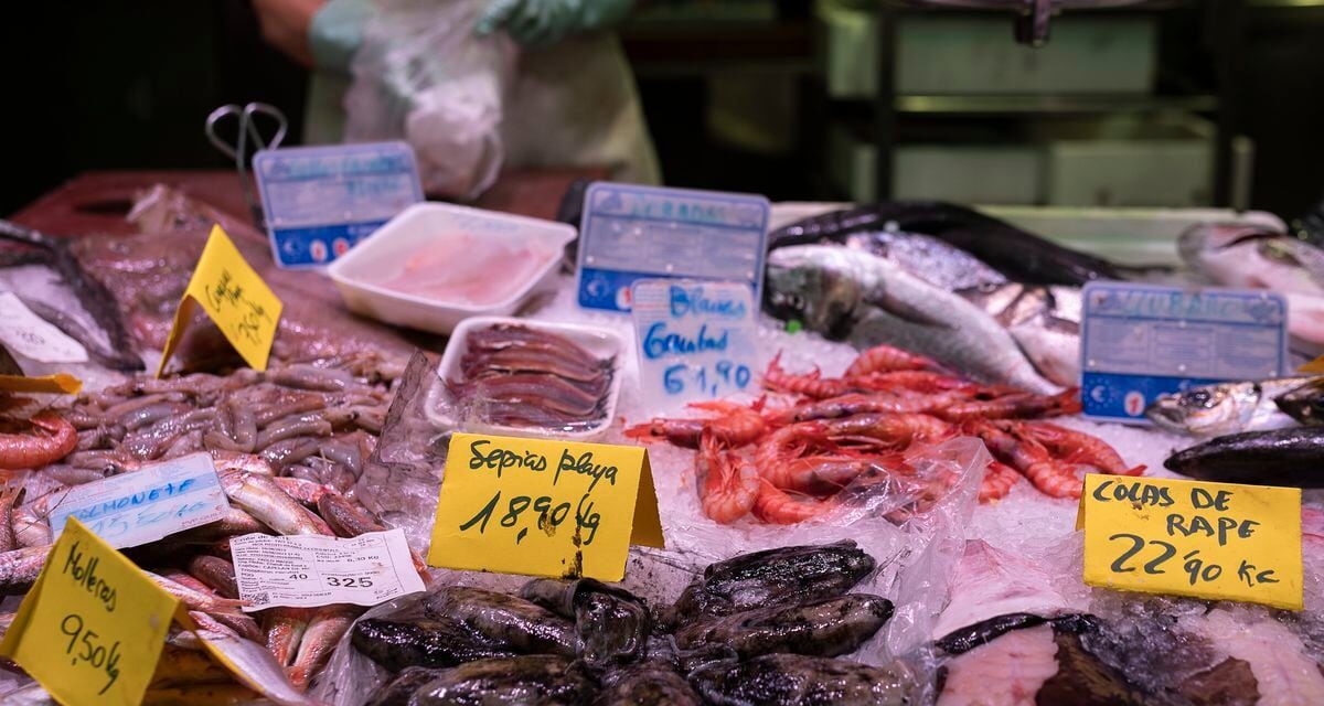 Los Veintisiete acuerdan las cuotas de pesca para 2024 tras largas negociaciones por el Mediterráneo |  Economía