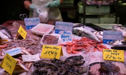 Los Veintisiete acuerdan las cuotas de pesca para 2024 tras largas negociaciones por el Mediterráneo |  Economía