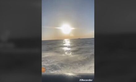 Los narcos del Estrecho se exhiben en TikTok |  Andalucía |  España