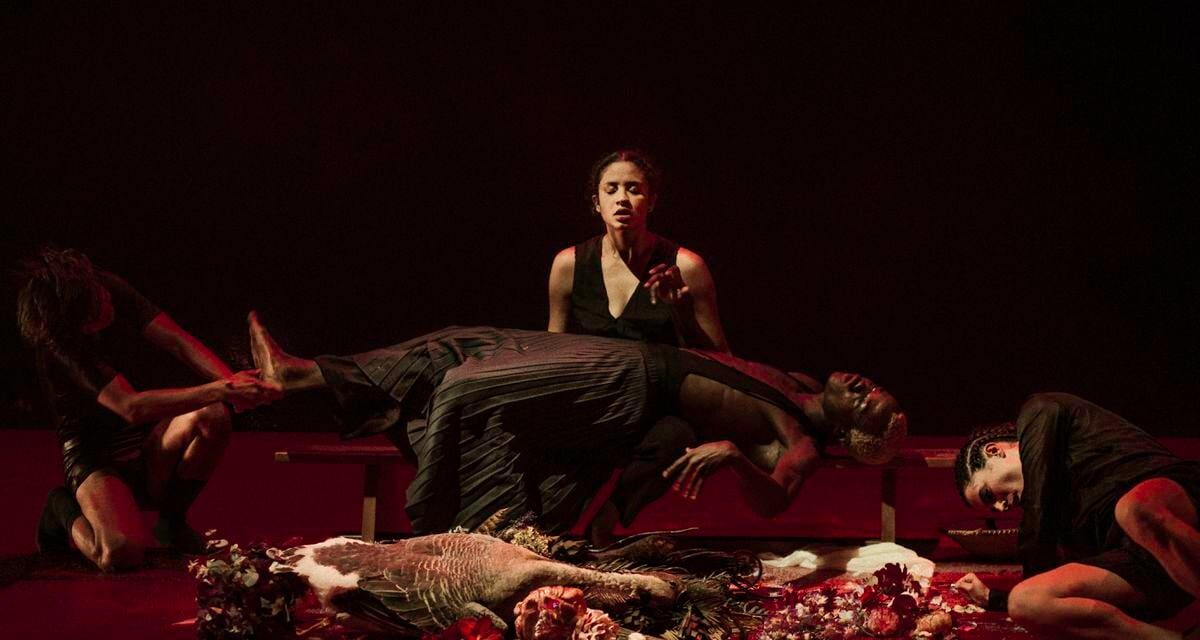 Luz Arcas o cómo sacudir la escena con la violencia de la verdad |  babelia
