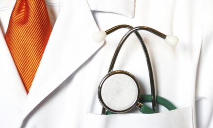 Nace el 'Google vasco' de la salud