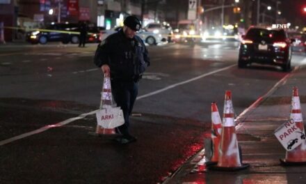 Niño de 3 años muere en atropello y fuga en Queens