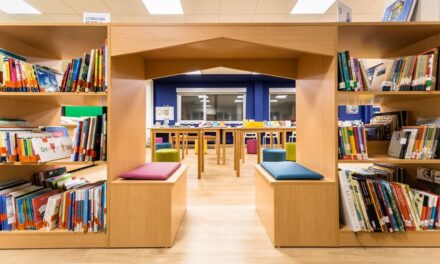 RAE: La RAE limpia, fija y da lección |  Educación