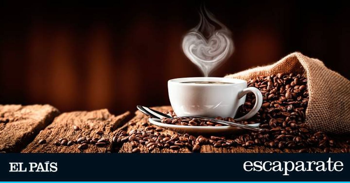 Regalos para los amantes del café: 10 ideas que no fallan |  Estilo de vida |  Escapar