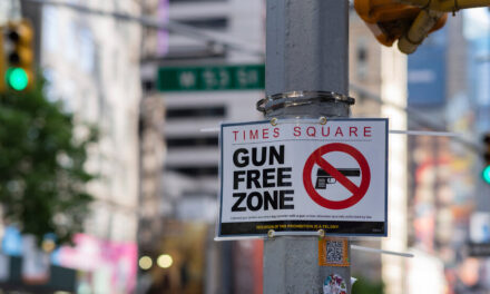 Se confirma la prohibición de armas de fuego en parques y otros sitios "sensibles" en Nueva York