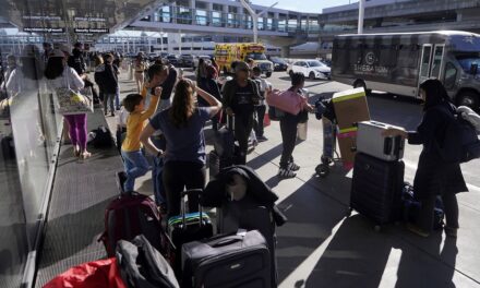 Se espera que 115 millones de estadounidenses viajen durante las vacaciones