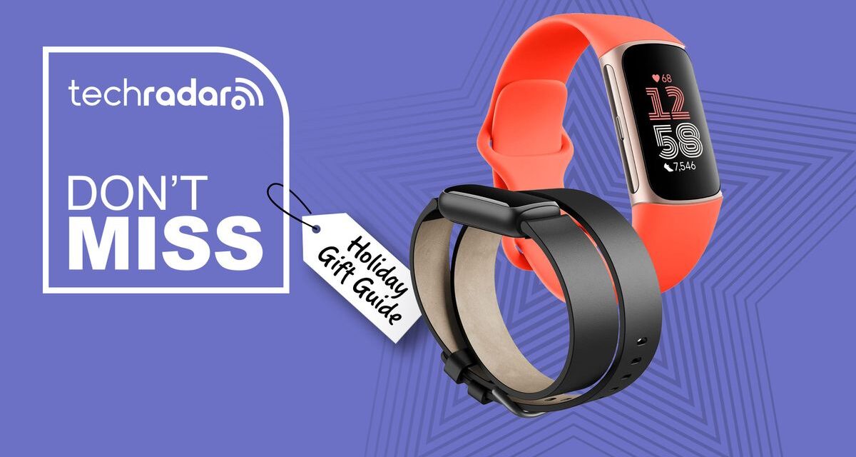 Seis regalos navideños de Fitbit para los amantes del fitness, desde relojes y rastreadores hasta pulseras elegantes