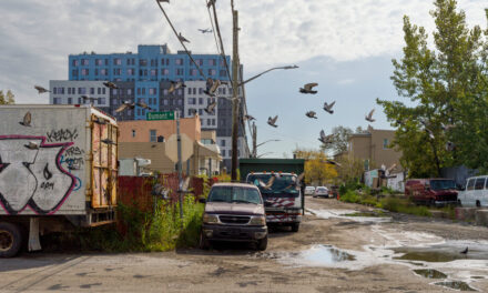 Serpientes, esporas y aguas residuales: la vida en el barrio neoyorquino 'The Hole'