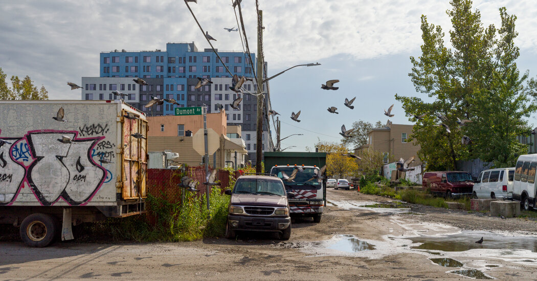 Serpientes, esporas y aguas residuales: la vida en el barrio neoyorquino 'The Hole'