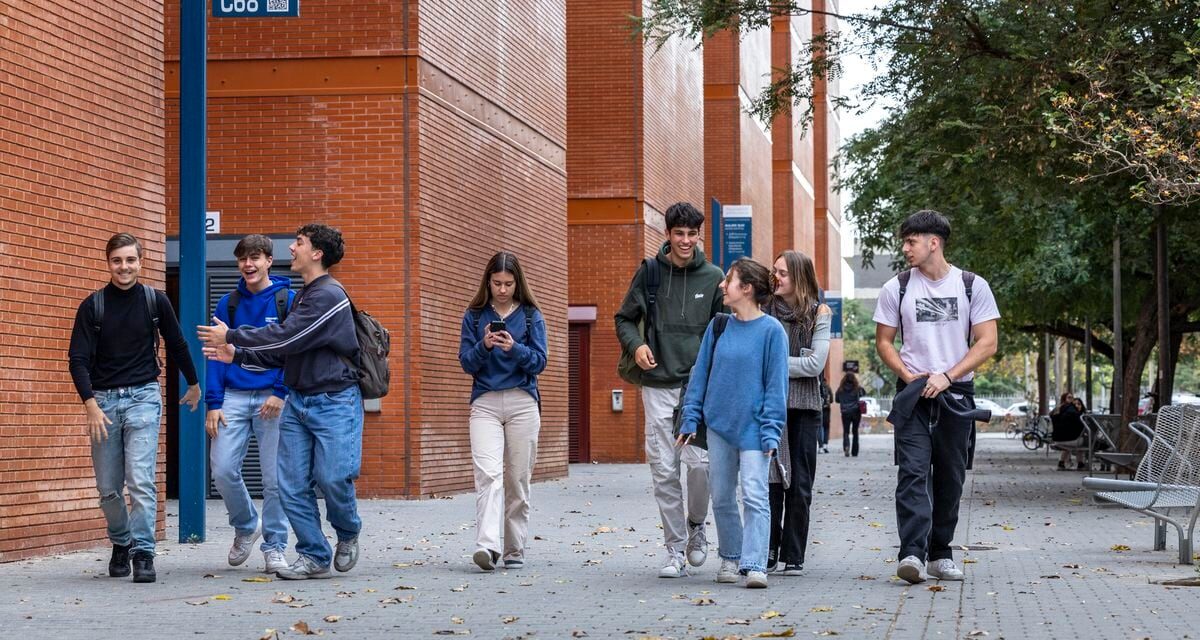 Trabajar sin cobrar o paralizar la tesis: 779 investigadores reciben sus contratos predoctorales tras un limbo de meses |  Educación