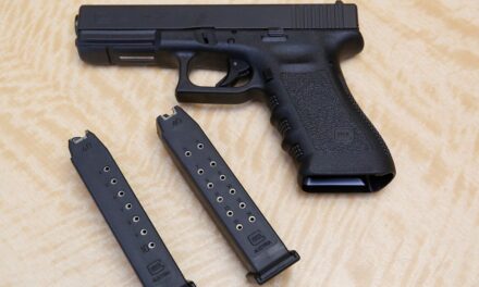Tribunal federal de apelaciones anula partes de las leyes de armas de Nueva York