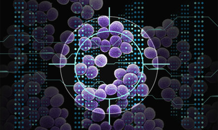 Utilizando IA, investigadores del MIT identifican una nueva clase de candidatos a antibióticos |  Noticias del MIT