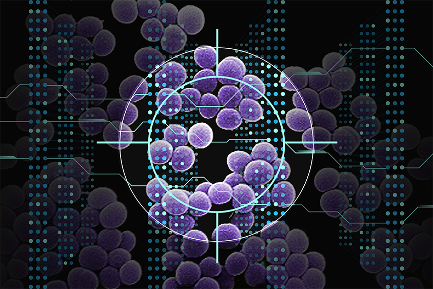 Utilizando IA, investigadores del MIT identifican una nueva clase de candidatos a antibióticos |  Noticias del MIT