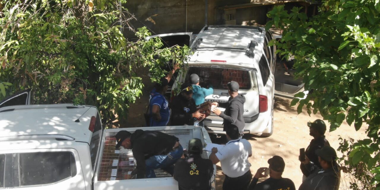VÍDEO |  CESFRONT y Ejército de República Dominicana incautan 400,800 unidades de cigarrillos por medio a operativo en Hotel de Manzanillo