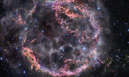 Webb de la NASA sorprende con una nueva mirada en alta definición a la estrella que explotó