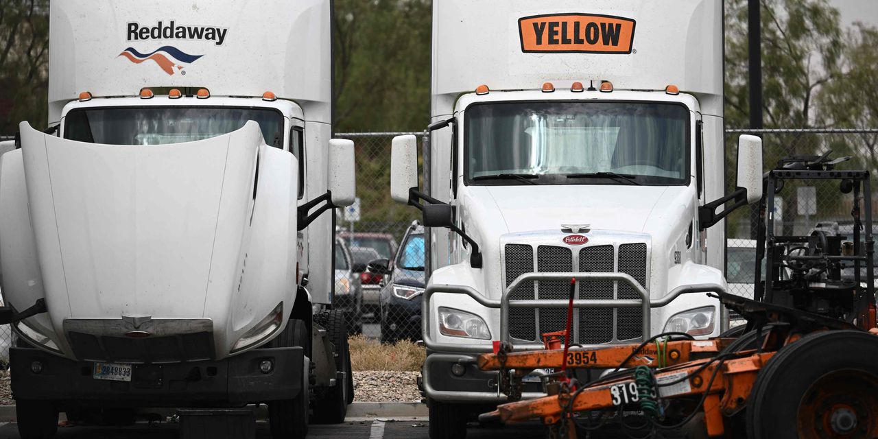 Yellow rechaza oferta para reactivar la empresa de transporte colapsada