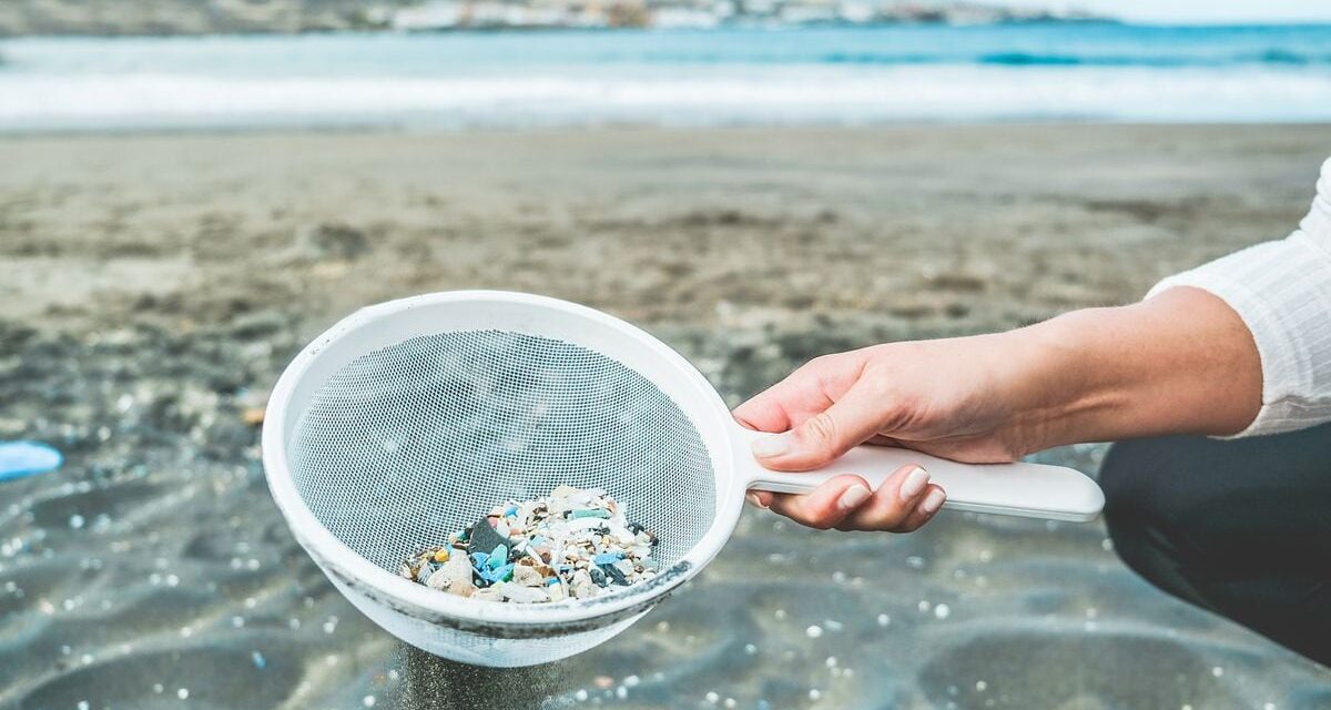 ¿Existen diferentes tipos de microplásticos?  |  Las científicas responden |  Ciencia