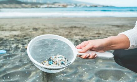¿Existen diferentes tipos de microplásticos?  |  Las científicas responden |  Ciencia
