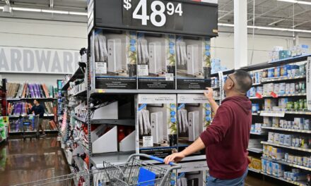 Aquí está el desglose de la inflación para diciembre de 2023 en un gráfico