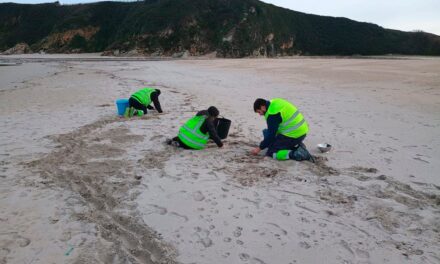 Asturias activa el nivel 2 de alerta por el vertido de 'pellets' en sus costas, con lo que podrá recibir ayuda del Estado |  Clima y Medio Ambiente