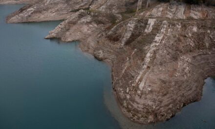 Cataluña se prepara para declarar el 1 de febrero la emergencia por sequía |  Cataluña |  España