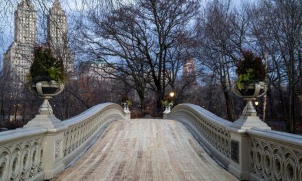Central Park Bow Bridge reabre tras reparaciones