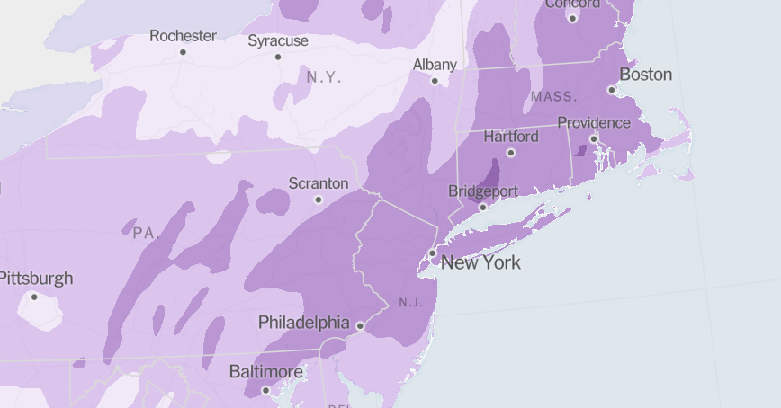 Clima en Nueva York: Riesgo 'significativo' mientras los meteorólogos advierten sobre fuertes vientos