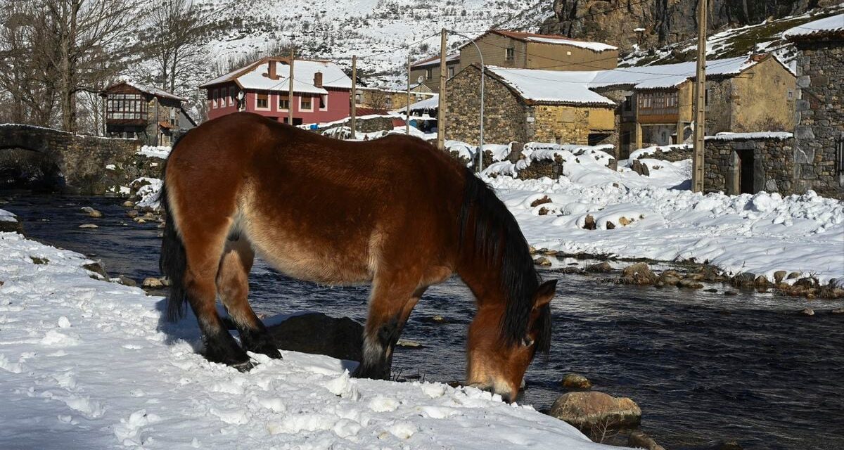 Comienza un episodio invernal descafeinado respecto a las predicciones iniciales |  España