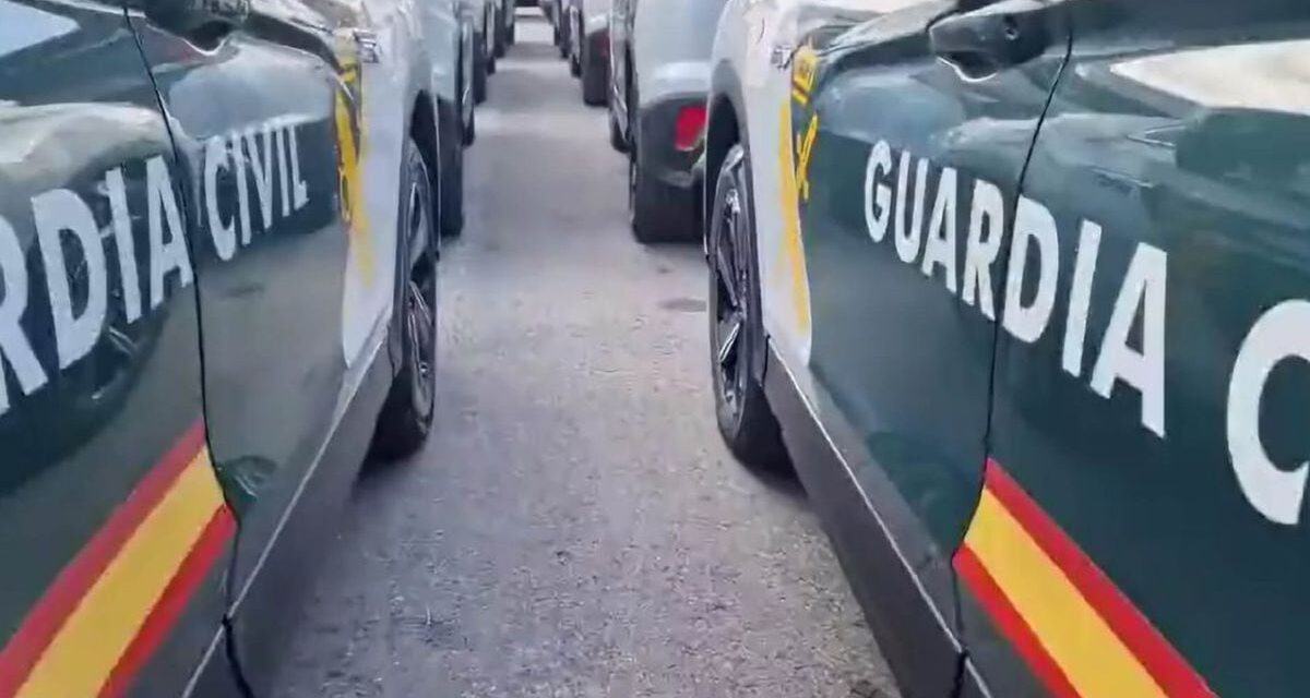 Detenido un hombre por agredir sexualmente a una mujer de 77 años en Daganzo de Arriba |  Madrid |  España