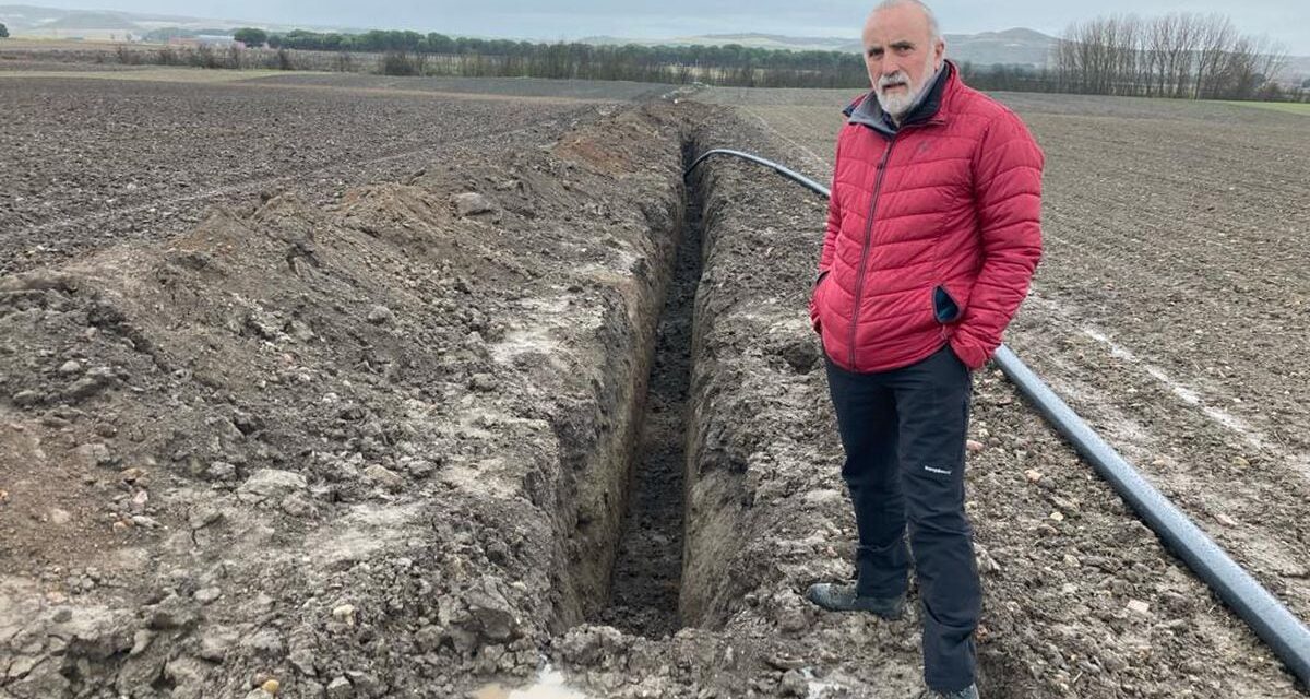 Dos excavadoras destruyen más de 250 metros lineales del yacimiento de la ciudad vaccea de Pintia en Valladolid |  Cultura
