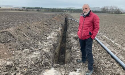 Dos excavadoras destruyen más de 250 metros lineales del yacimiento de la ciudad vaccea de Pintia en Valladolid |  Cultura