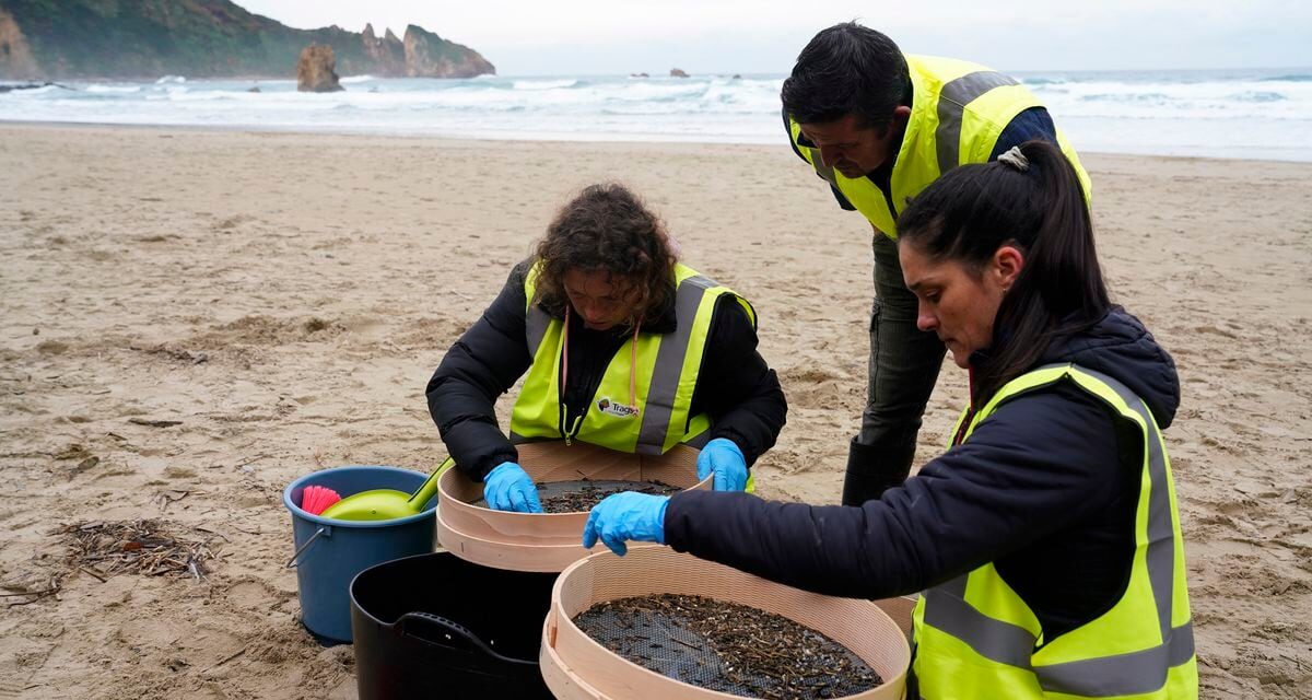 El Gobierno colabora ya con Asturias en la limpieza de 'pellets' en sus playas y Galicia sigue sin pedir ayuda concreta |  Clima y Medio Ambiente