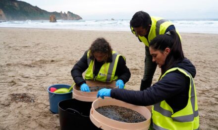 El Gobierno colabora ya con Asturias en la limpieza de 'pellets' en sus playas y Galicia sigue sin pedir ayuda concreta |  Clima y Medio Ambiente