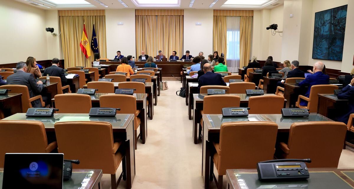 El PSOE y sus socios aprueban con Junts y ERC leves retoques en la ponencia de la ley de amnistía |  España