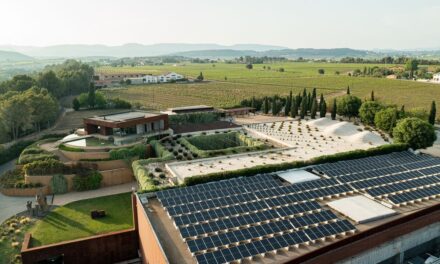 El autoconsumo echa el freno: las nuevas instalaciones caen un 32% tras el récord de 2022 |  Economía