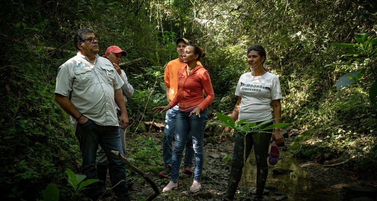 El milagro de República Dominicana: reverdece una quinta parte en 10 años |  América Futura