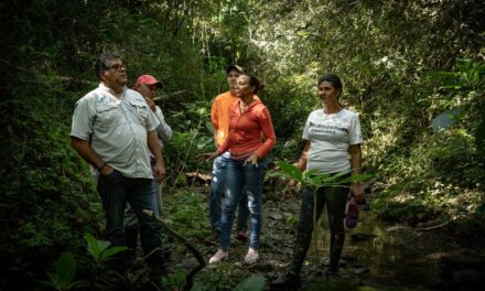 El milagro de República Dominicana: reverdece una quinta parte en 10 años |  América Futura