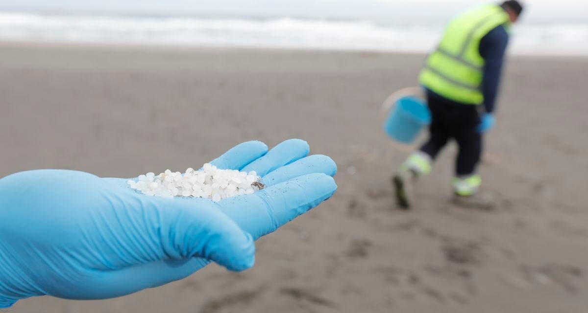 Galicia rectifica y activa el nivel 2 de alerta por el vertido de 'pellets' en sus costas horas después de hacerlo Asturias |  Clima y Medio Ambiente