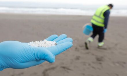 Galicia rectifica y activa el nivel 2 de alerta por el vertido de 'pellets' en sus costas horas después de hacerlo Asturias |  Clima y Medio Ambiente