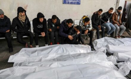 Guerra entre Israel y Gaza, en directo |  La cifra de muertos palestinos en la ofensiva israelí en Gaza supera los 25.000 |  internacional