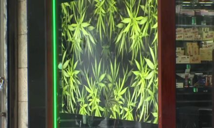 Hochul propone más poderes de control del cannabis para las ciudades